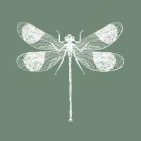 white outline of a dragonfly on green background