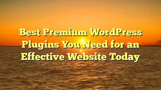Best Premium WordPress Plugins You Need for an Effective Website Today