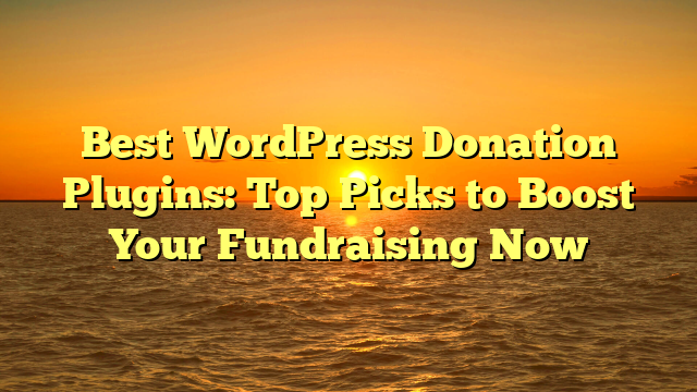 Best WordPress Donation Plugins: Top Picks to Boost Your Fundraising Now