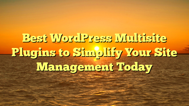 Best WordPress Multisite Plugins to Simplify Your Site Management Today