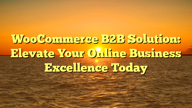 WooCommerce B2B Solution: Elevate Your Online Business Excellence Today