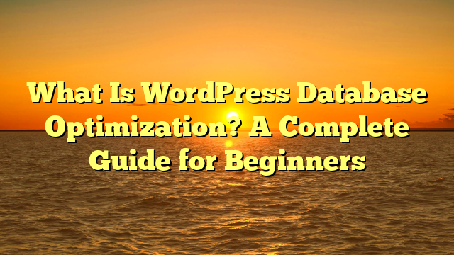 What Is WordPress Database Optimization? A Complete Guide for Beginners
